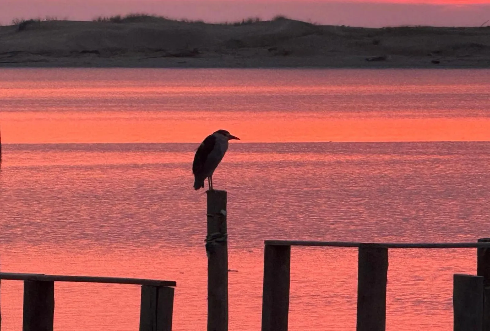 Villa Dookie Ilhas Araranguá Сasa de vacaciones